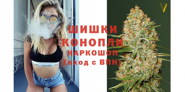 соль ск Козельск