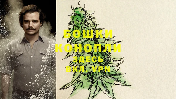 кокс Козловка